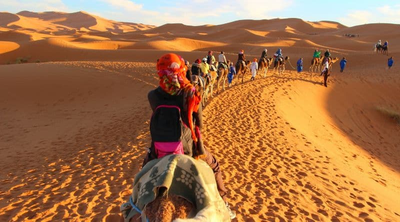Táxis Camelos do Deserto do Saara 800x445px